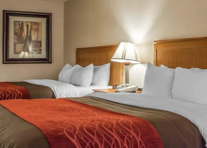 Comfort And Hotel