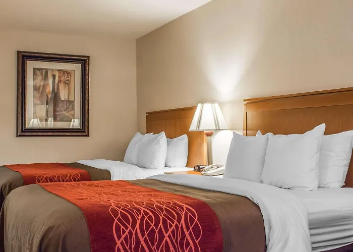 Comfort And Hotel