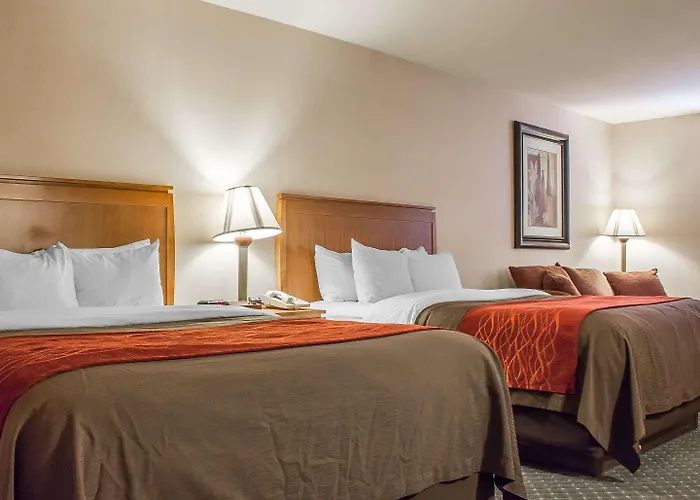 Hotel Comfort And