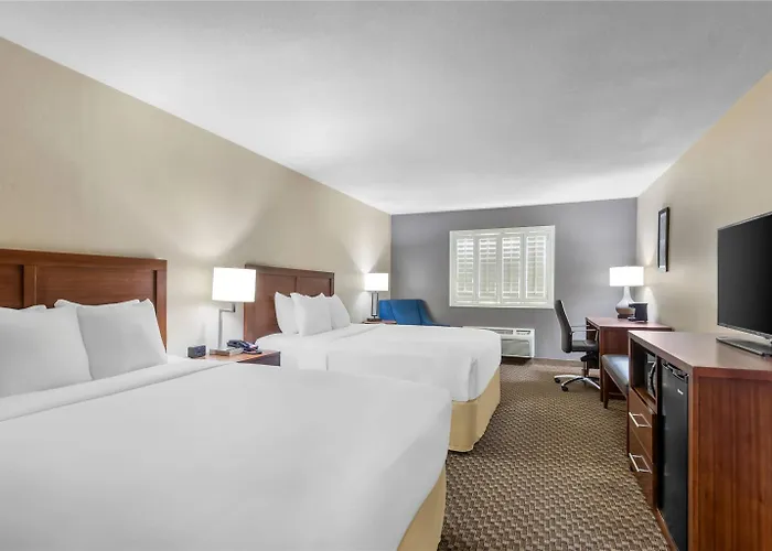 Comfort And Hotel