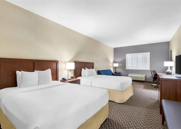 Hotel Comfort And