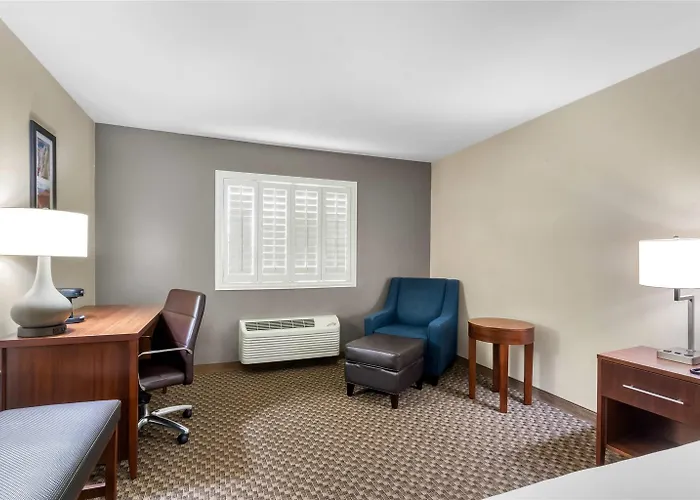 Comfort And 2*