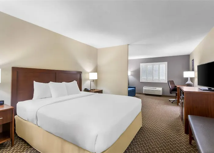 Hotel Comfort And Thatcher