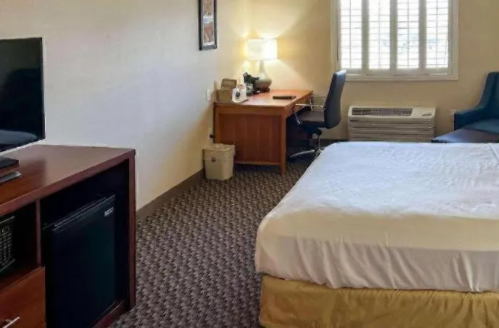 Hotel Comfort And 2*