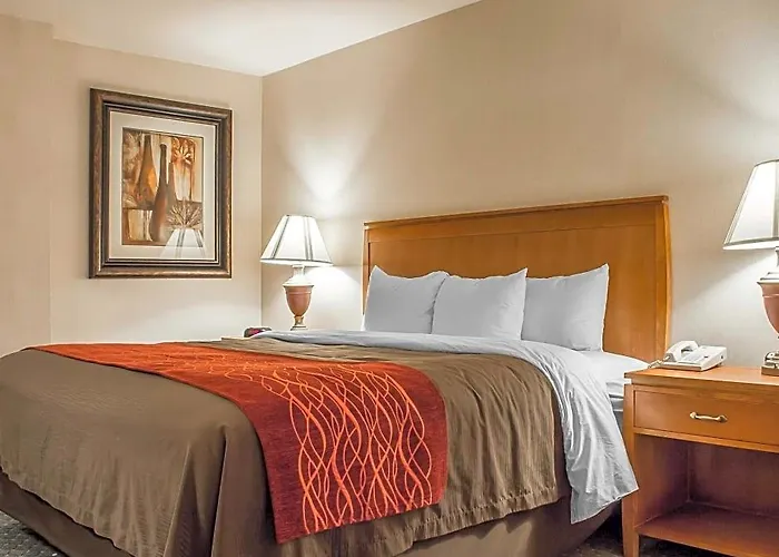 Hotel Comfort And 2*